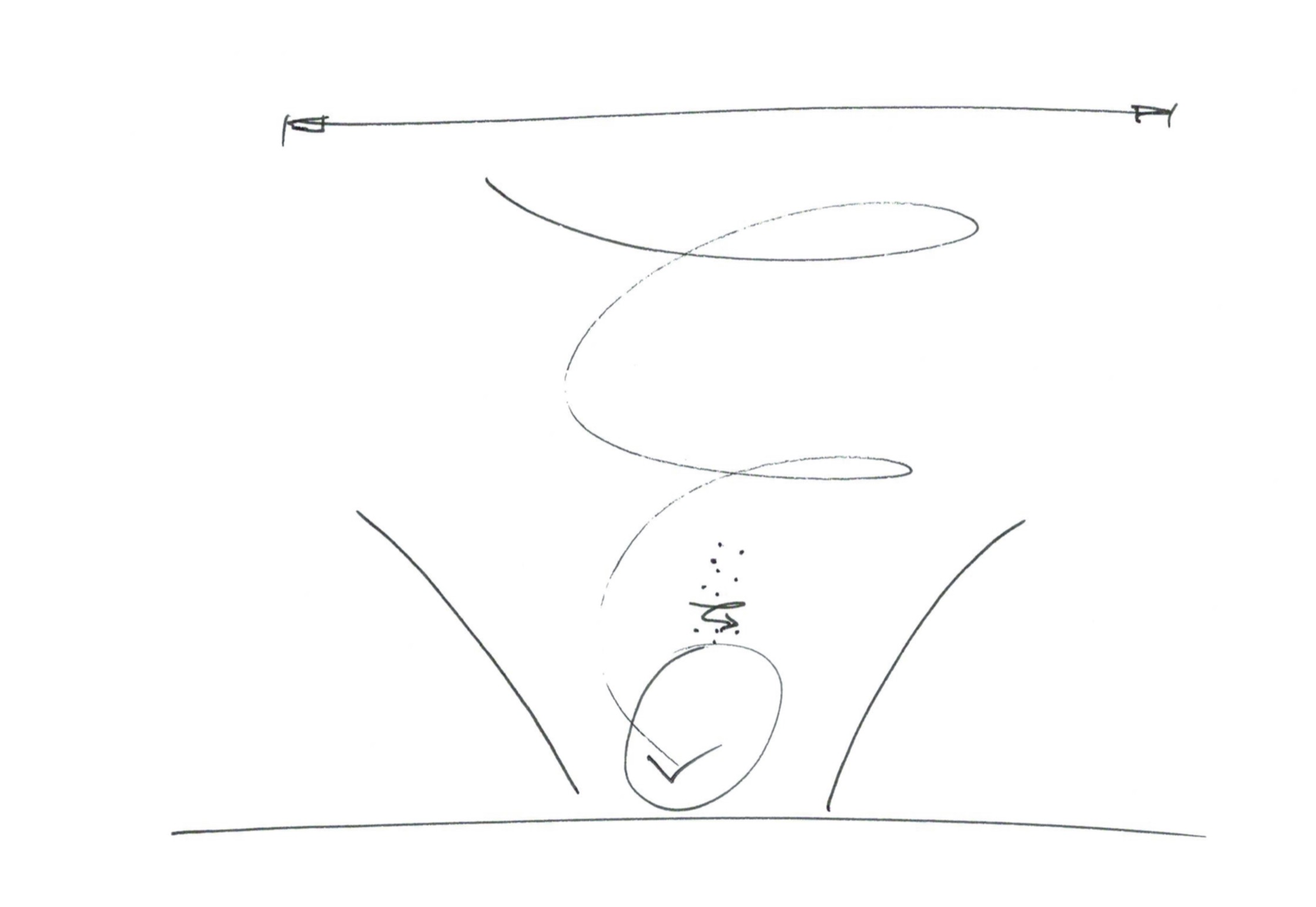 Qigong Vortex