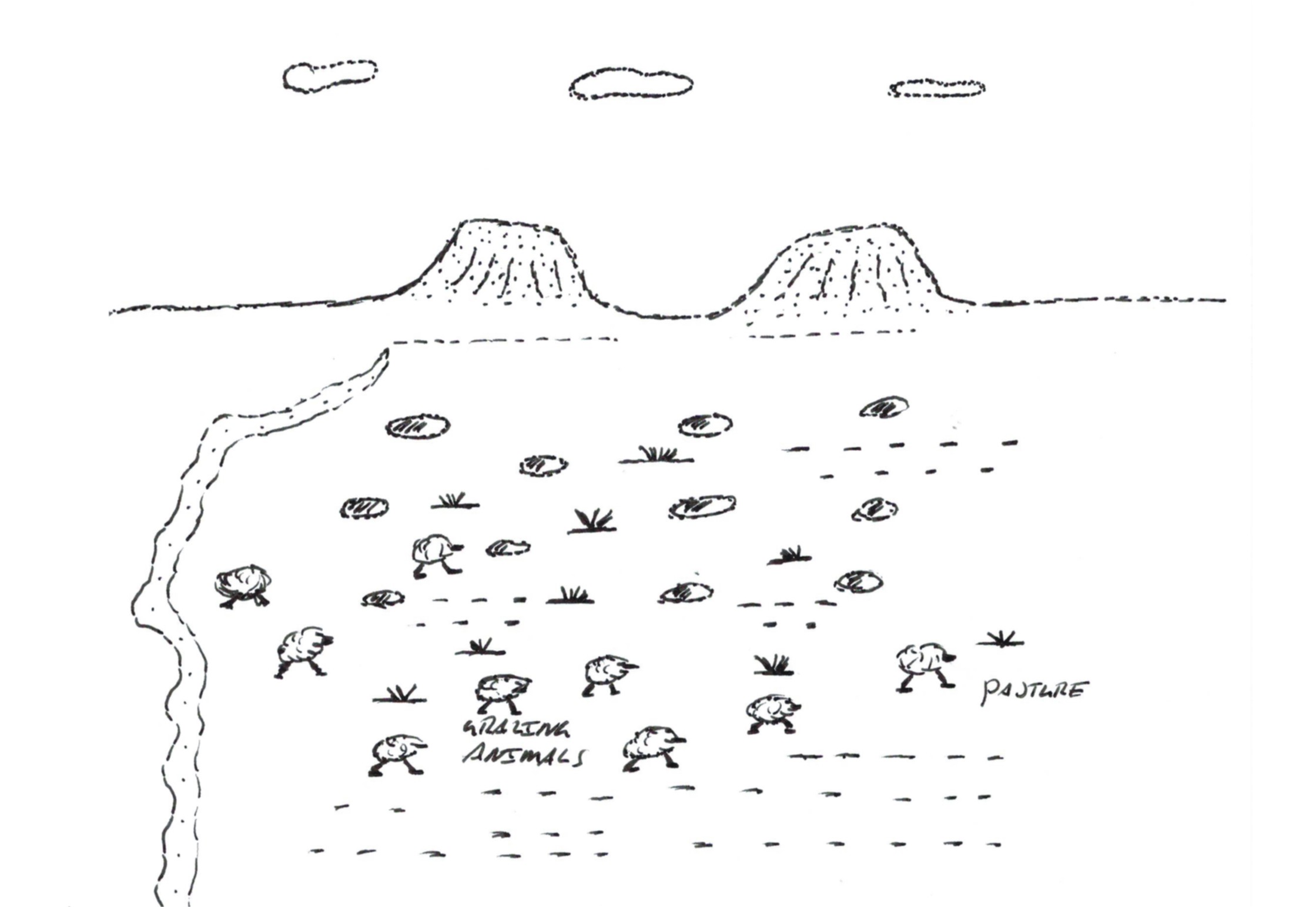 Grazing animals
